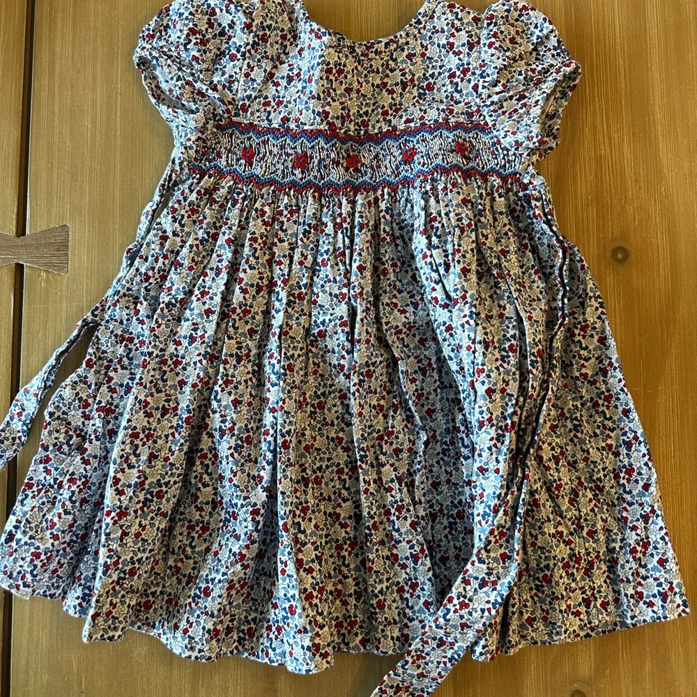 Edgehill Collection Floral Dress in Red and Blue